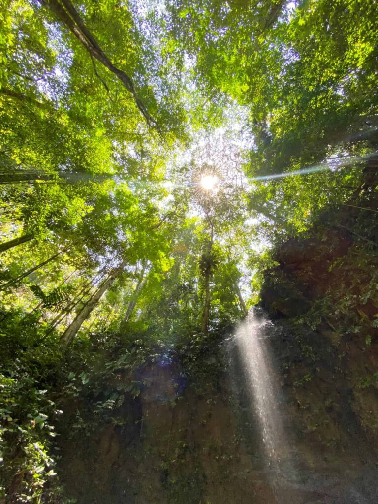 De Leo-waterval in het regenwoud van Brownsberg